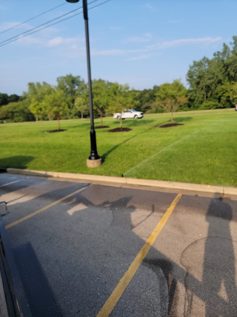 lawn fertilization service