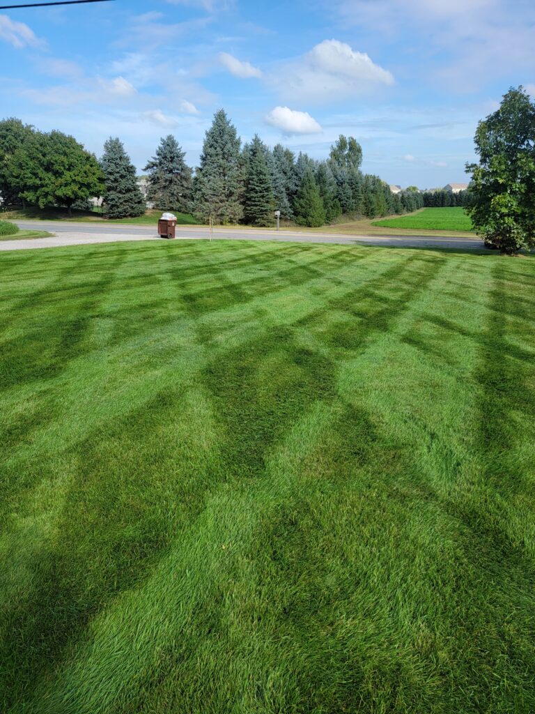 lawn seeding service, sod installation service