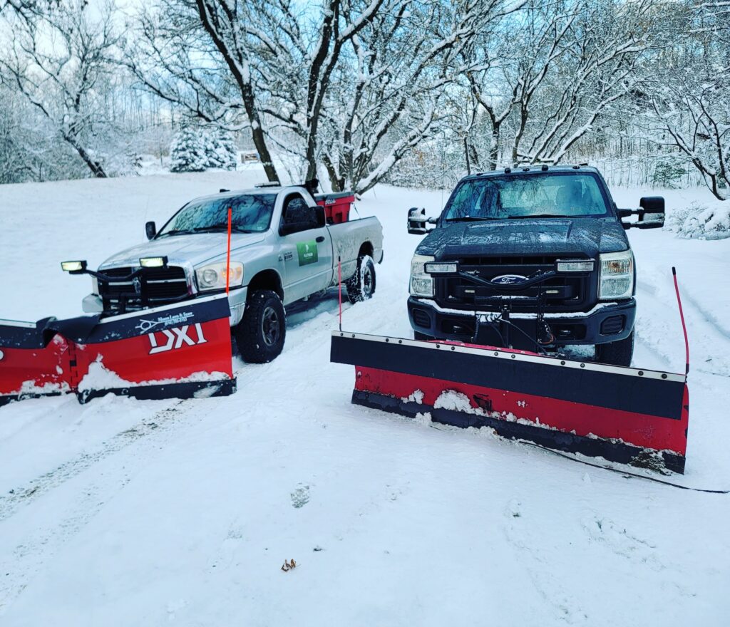 garden bed maintenance, expert lawn care