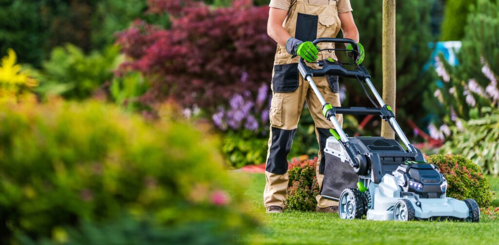 how to maintain landscape beds Rockford IL