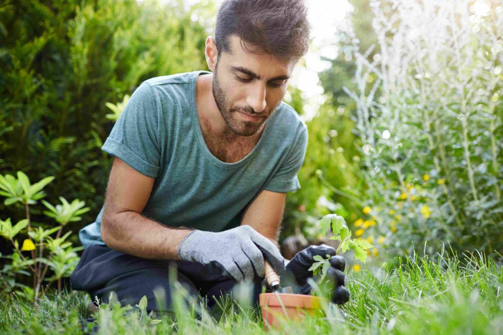 how to improve soil health lawn