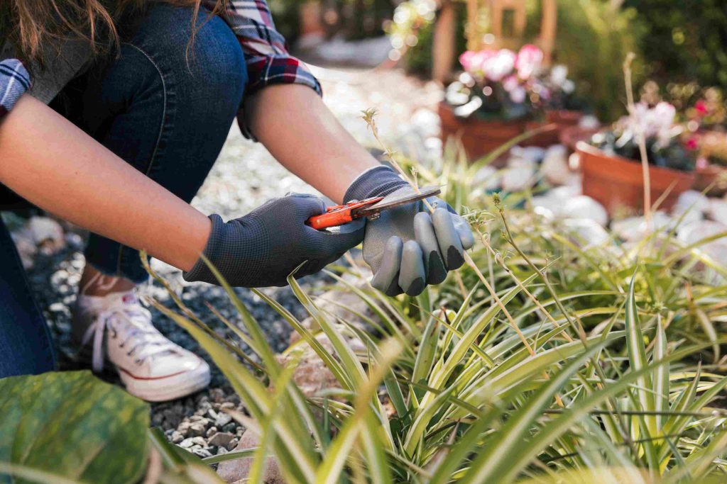 garden enhancement