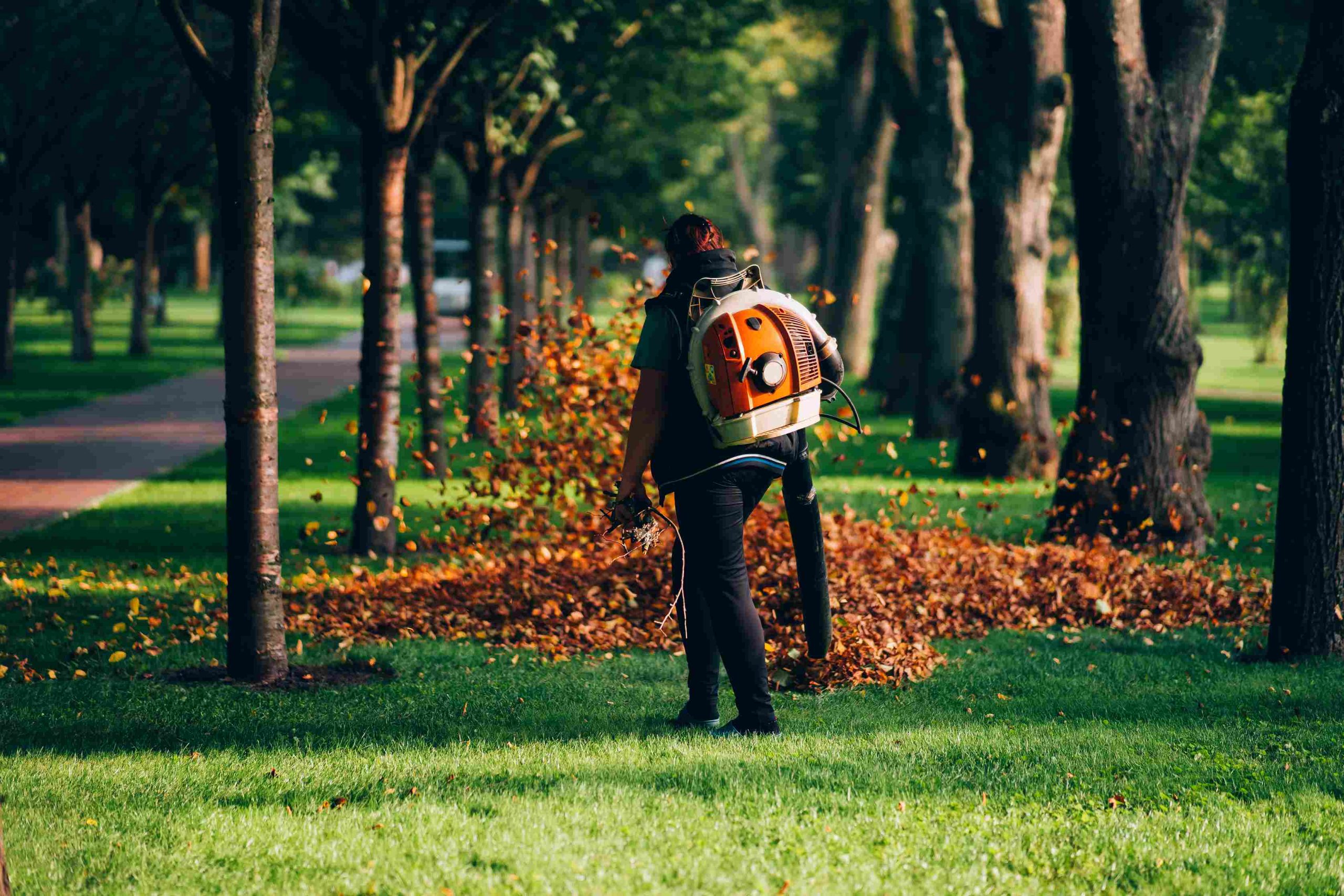 high quality lawn maintenance Rockford IL