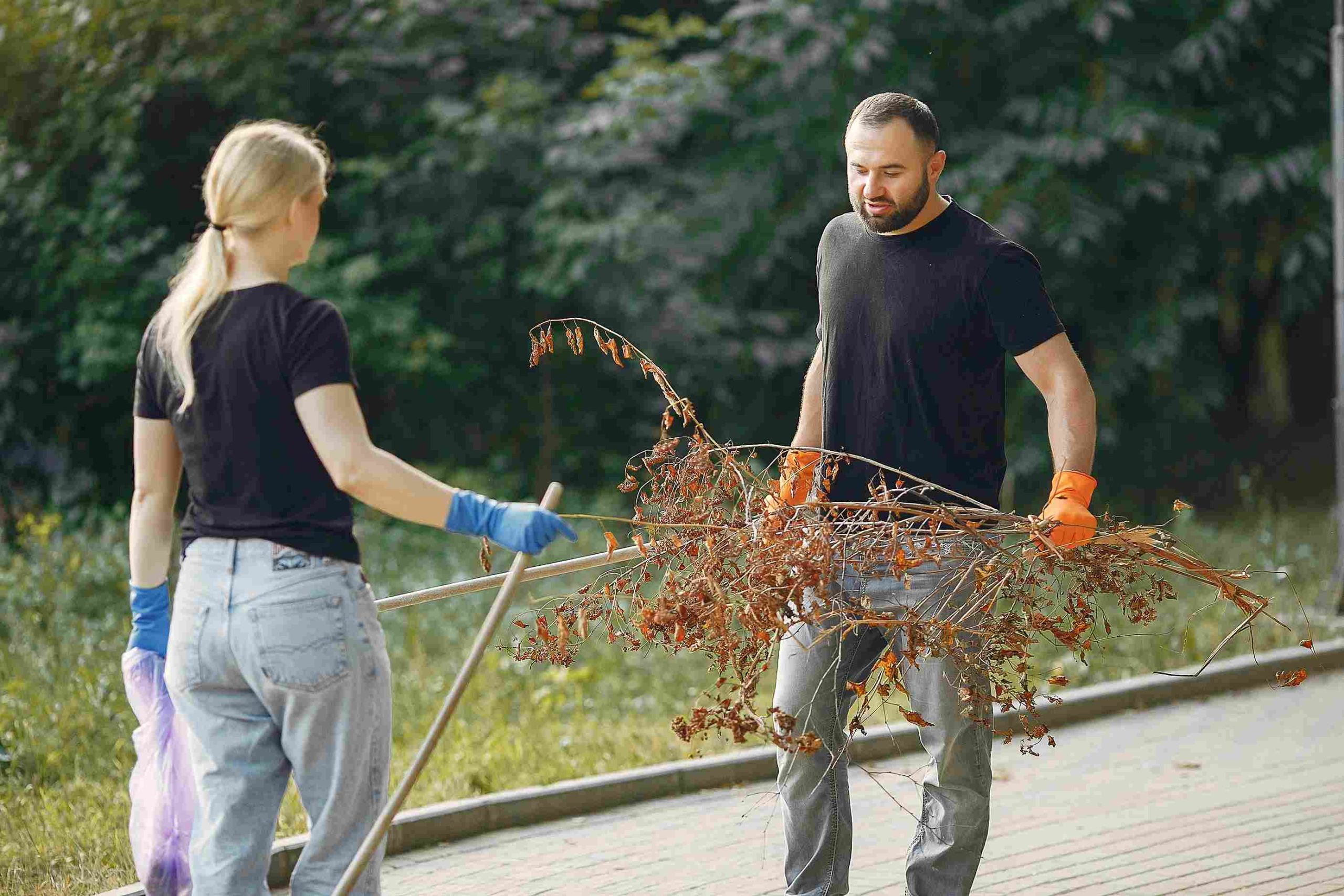 spring yard maintenance Rockford